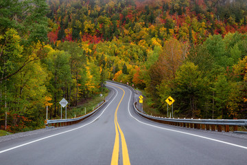 Naklejka premium Malownicza droga w górach otoczona żywymi drzewami w kolorze jesieni. Zrobiono w Parku Narodowym Forillon, niedaleko Gaspé, Quebec, Kanada.