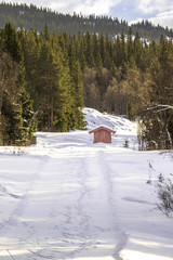 Small red house cabin in the forest in winter in Scandinavia