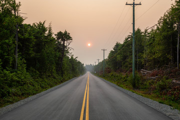 Fototapeta premium Scenic forest road during a vibrant summer day. Taken in Florencia Bay, near Ucluelet and Tofino, Vancouver Island, BC, Canada.