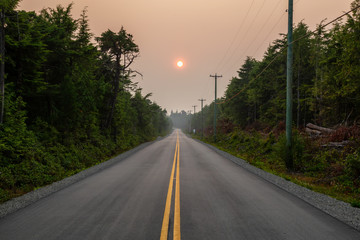 Scenic forest road during a vibrant summer day. Taken in Florencia Bay, near Ucluelet and Tofino, Vancouver Island, BC, Canada.