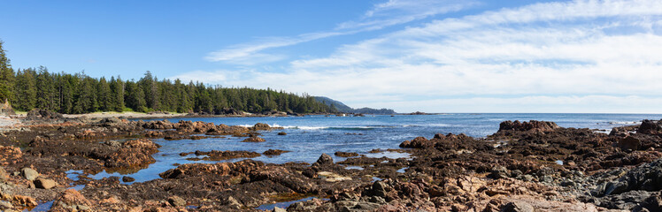 Rocky beach on the Pacific Ocean Coast during a sunny summer day. Taken in Palmerston Beach, Northern Vancouver Island, BC, Canada.