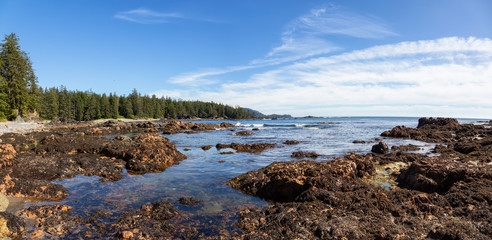 Fototapeta na wymiar Rocky beach on the Pacific Ocean Coast during a sunny summer day. Taken in Palmerston Beach, Northern Vancouver Island, BC, Canada.