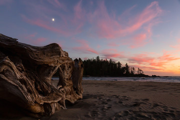 Beautiful sandy beach on the Pacific Ocean Coast during a vibrant summer sunset. Taken in Raft Cove Provincial Park, Northern Vancouver Island, BC, Canada.