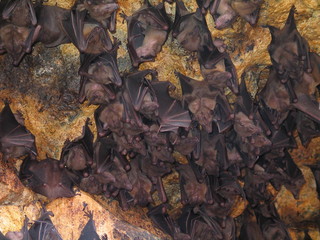 Bali. Temple near of Ubud. Indonesia. Asia