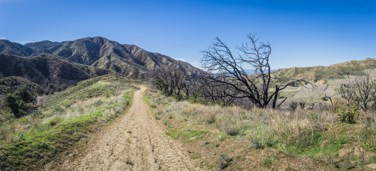 Wilderness Walking Trail in California Hills