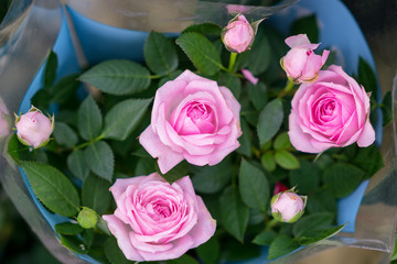 beautiful bouquet of pink roses, small buds