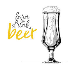 Sketch of a glass of beer. Text: born to drink beer. Vector illustration of a sketch style