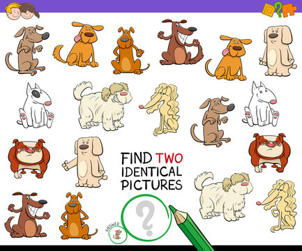 find two identical dogs game for kids
