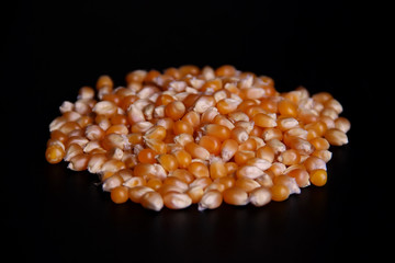 Corn seeds isolated on black background