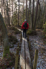 Obraz premium man out walking on footbridge in a forest