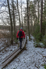 man out walking on footbridge in a forest