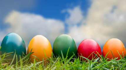 Fototapeta na wymiar Easter greeting card. Colorful easter eggs in green grass with blue sky, copy space. Spring holiday.