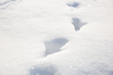 footprints in snow
