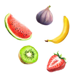 Set of fruits. Set of drawn banana, watermelon, kiwi, strawberry and fig isolated on a white background