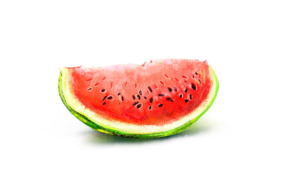A piece of watermelon. Drawing watermelon on a white background