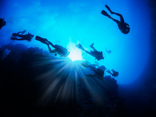 Fototapeta na wymiar Divers in the Red Sea. Bottom view.