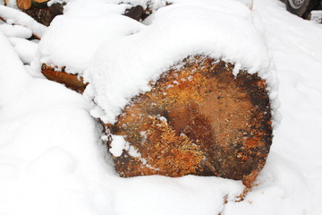 Holzscheibe im Schnee