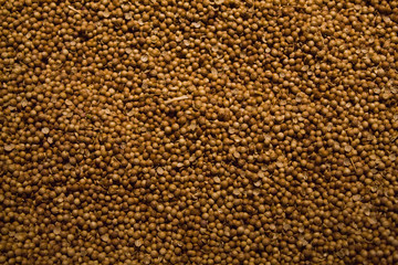 Yellow seeds pattern