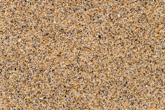 Large coarse wet sea sand consisting of fragments and debris sea shells. Azov sands texture.