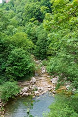 A mountain river with stony shores flows from a lake through a gorge with dense green forest