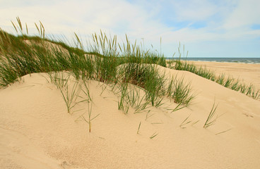 Fototapeta na wymiar Moving sand dunes in Slowinski National Park, Poland