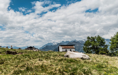 Fototapeta na wymiar Alpen Landschaft in Italien Meran
