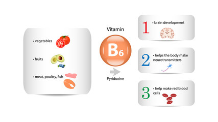 Vitamin B6 vector design. Vitamin B6 function and sources. Pyridoxin