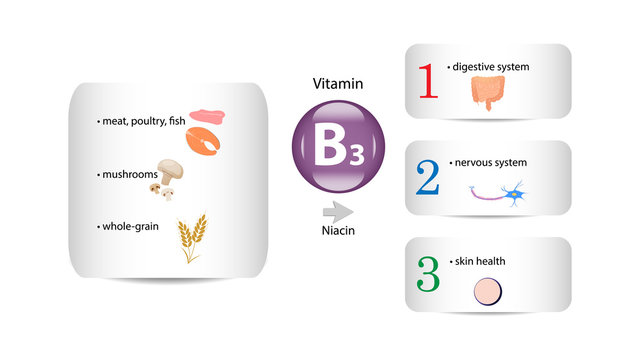 Vitamin B3 vector design. Vitamin B3 function and sources. Niacin
