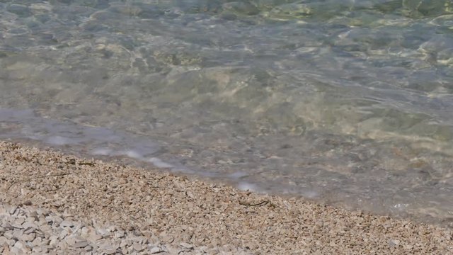 Prvi zal beach in Lumbarda, Korcula Island, Dalmatia, Croatia, Europe