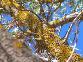 Barossa Valley. Australian wine state