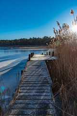 wooden jetty with reed on a sunny winter day