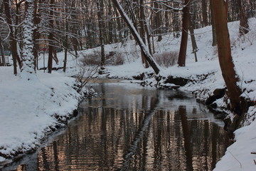 River at the city park in winter day