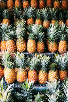 Pineapples