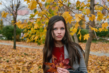 Outdoors portrait of a beautiful fashion looking girl with long hair in gray coat which holds the red autumn leaves in hand. Walk in the autumn city park.