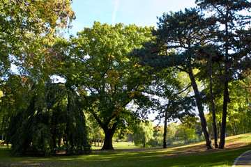 Photo of a park in a German city. Beautiful nature of Germany. Green park area of Hamburg. Park paths for walking people. Beautiful nature on a sunny day.