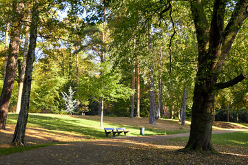 Photo of a park in a German city. Beautiful nature of Germany. Green park area of Hamburg. Park paths for walking people. Beautiful nature on a sunny day.