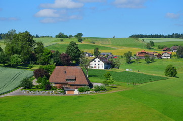 Fototapeta na wymiar Swiss valley with old houses