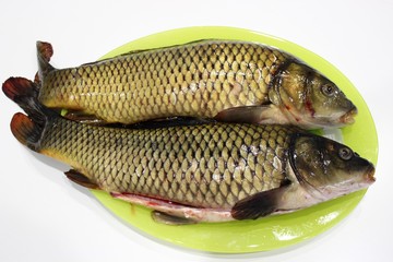  Two gutted carp cooked for frying on the grill or pan for Easter.