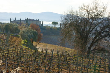 Colline Toscane