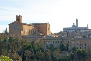 Fototapeta na wymiar Dettagli di Siena