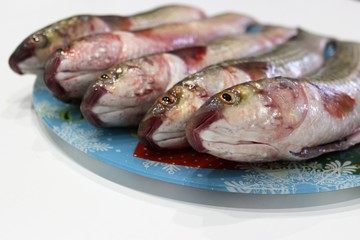  Gutted pelengas lie on a tray awaiting cooking for Easter