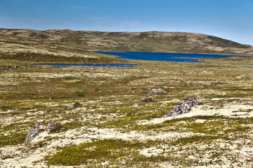 Tundra landscape in the north of Russia