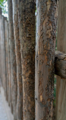Fototapeta premium Wooden Pole Fence with Texture