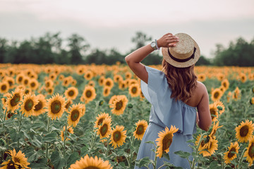 Dreaming young woman in blue dress and hat walking away in a field of sunflowers at summer, view from her back. Holding a hat with a hand
