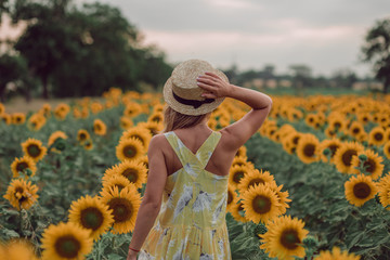 Dreaming young woman in yellow dress holding a hat with a hand and walking away in a field of sunflowers at summer, view from her back. Looking forward