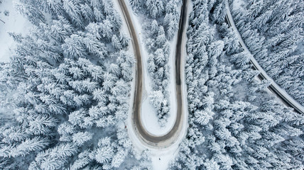 hairpin curve from air with forest  - obrazy, fototapety, plakaty