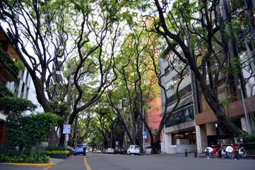 calles de la ciudad de mexico