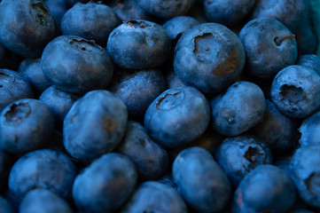 Blueberries Close up