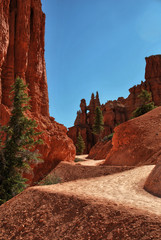 bryce canyon national park, utah, usa