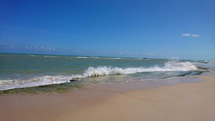 Fototapeta na wymiar Alagoas Sea Mar Beach Praia